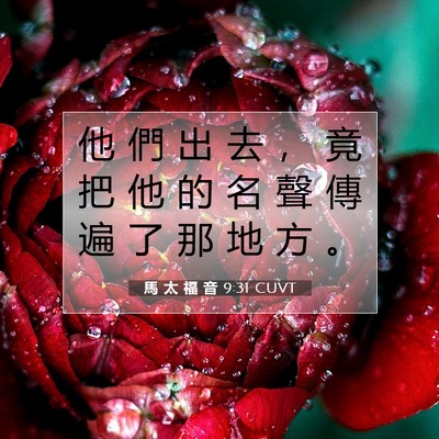 Picture 07 - 馬 太 福 音 9:31 CUVT - 他 們 出 去 ， 竟 把 他 的 名 聲 傳 - Bible Verse Picture