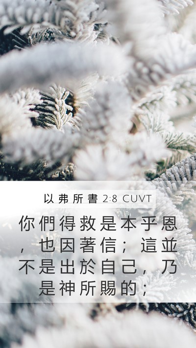 以 弗 所 書 2:8 CUVT Bible Verse Image
