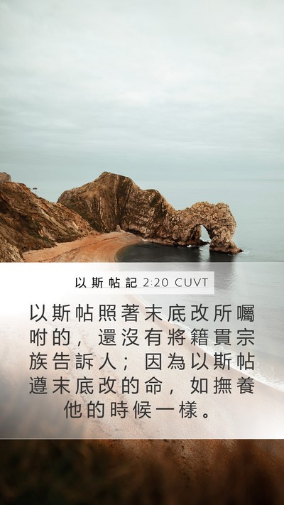 以 斯 帖 記 2:20 CUVT Bible Verse Image