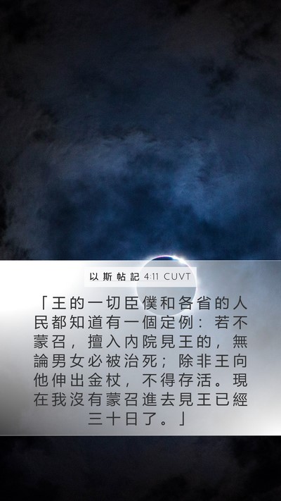 以 斯 帖 記 4:11 CUVT Bible Verse Image