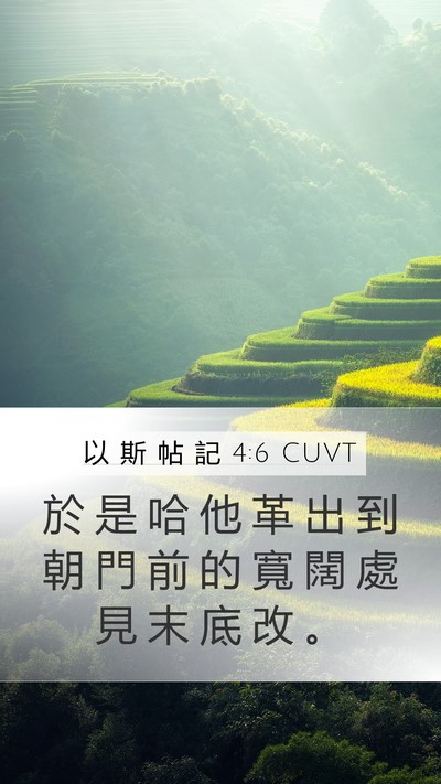 以 斯 帖 記 4:6 CUVT Mobile Phone Wallpaper - 於 是 哈 他 革 出 到 朝 門 前 的 寬 - Mobile Bible Verse Wallpaper