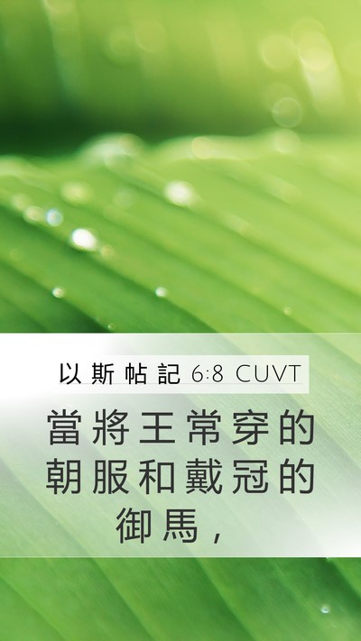以 斯 帖 記 6:8 CUVT Bible Verse Image