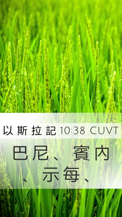 以 斯 拉 記 10:38 CUVT Mobile Phone Wallpaper - 巴 尼 、 賓 內 、 示 每 - Mobile Bible Verse Wallpaper