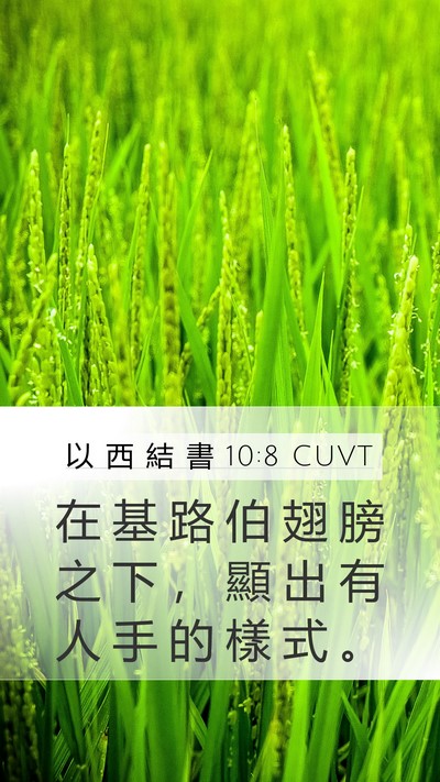 以 西 結 書 10:8 CUVT Bible Verse Image
