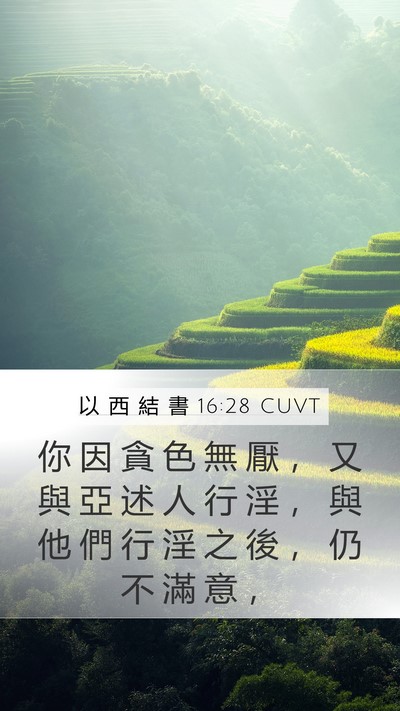 以 西 結 書 16:28 CUVT Bible Verse Image
