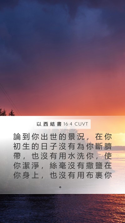 以 西 結 書 16:4 CUVT Bible Verse Image
