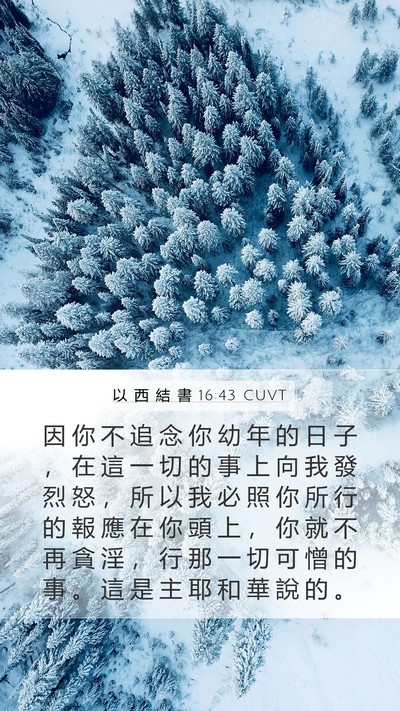 以 西 結 書 16:43 CUVT Bible Verse Image