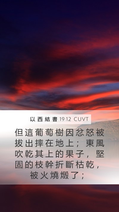 以 西 結 書 19:12 CUVT Bible Verse Image