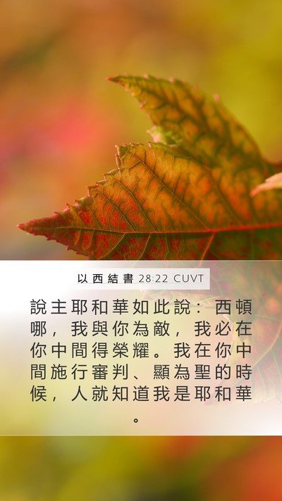 以 西 結 書 28:22 CUVT Bible Verse Image