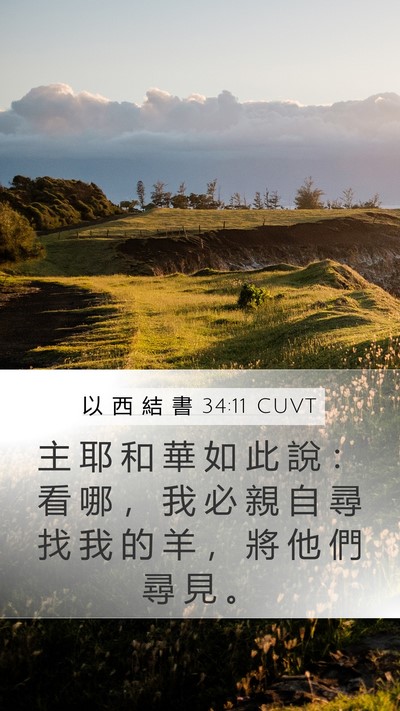 以 西 結 書 34:11 CUVT Bible Verse Image
