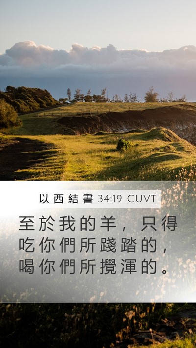 以 西 結 書 34:19 CUVT Mobile Phone Wallpaper - 至 於 我 的 羊 ， 只 得 吃 你 們 所 - Mobile Bible Verse Wallpaper