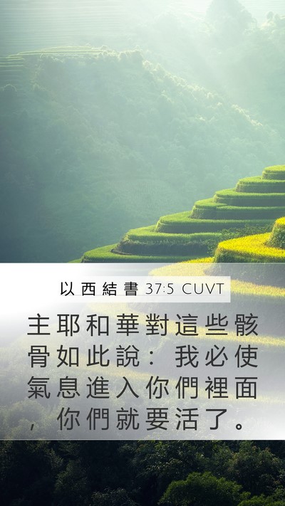 以 西 結 書 37:5 CUVT Bible Verse Image