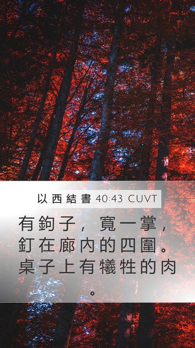 以 西 結 書 40:43 CUVT Mobile Phone Wallpaper - 有 鉤 子 ， 寬 一 掌 ， 釘 在 廊 內 - Mobile Bible Verse Wallpaper