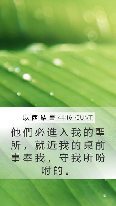 以 西 結 書 44:16 CUVT Bible Verse Image