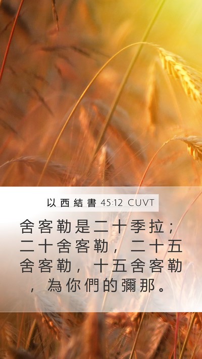 以 西 結 書 45:12 CUVT Bible Verse Image