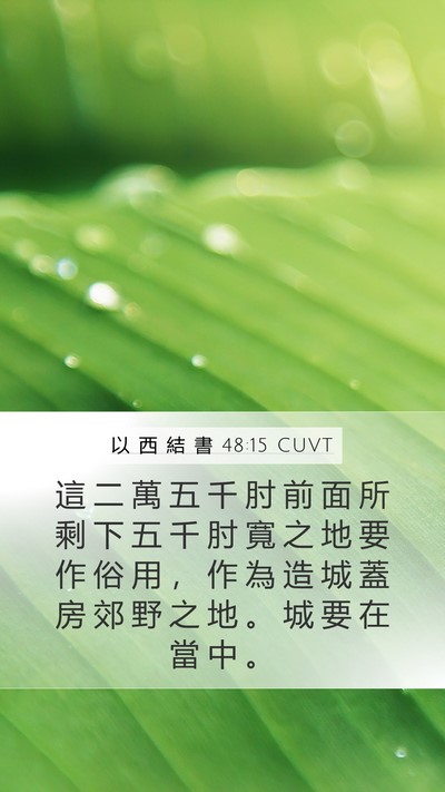 以 西 結 書 48:15 CUVT Bible Verse Image