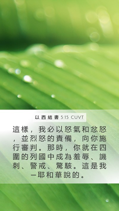 以 西 結 書 5:15 CUVT Bible Verse Image