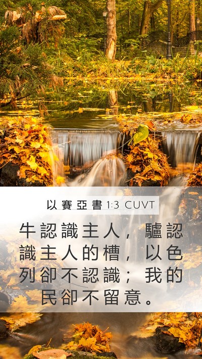 以 賽 亞 書 1:3 CUVT Bible Verse Image