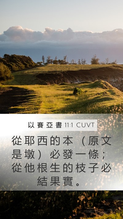 以 賽 亞 書 11:1 CUVT Bible Verse Image