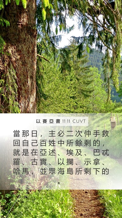 以 賽 亞 書 11:11 CUVT Bible Verse Image