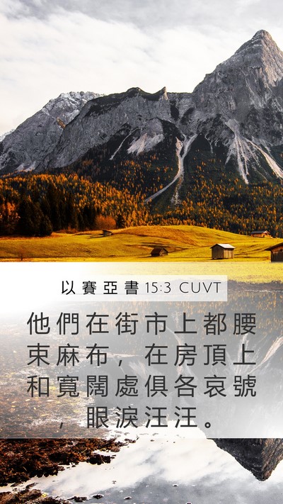 以 賽 亞 書 15:3 CUVT Bible Verse Image