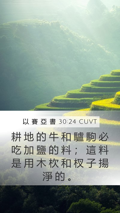以 賽 亞 書 30:24 CUVT Bible Verse Image