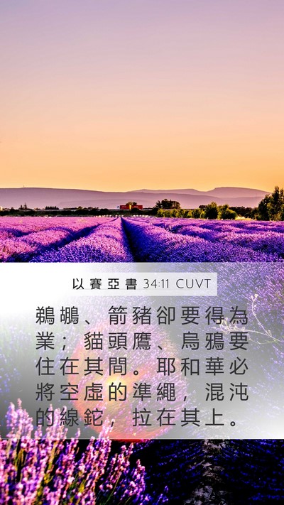 以 賽 亞 書 34:11 CUVT Bible Verse Image