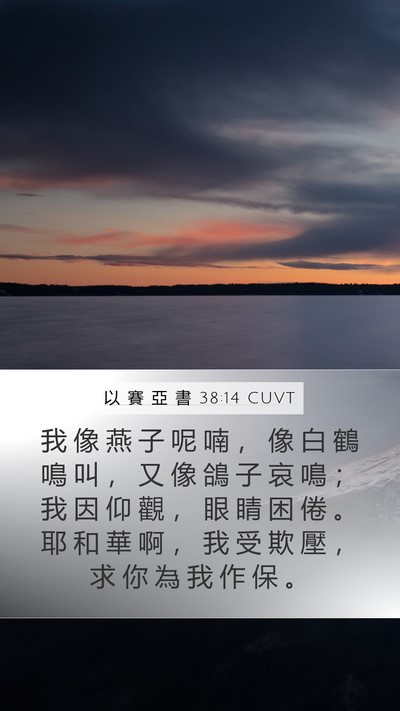 以 賽 亞 書 38:14 CUVT Bible Verse Image