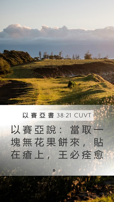 以 賽 亞 書 38:21 CUVT Bible Verse Image