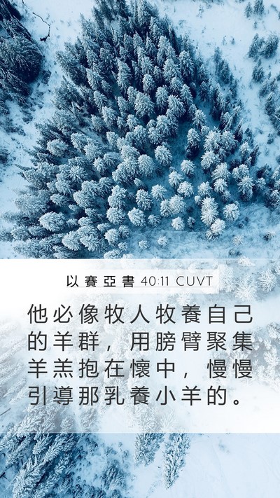 以 賽 亞 書 40:11 CUVT Bible Verse Image