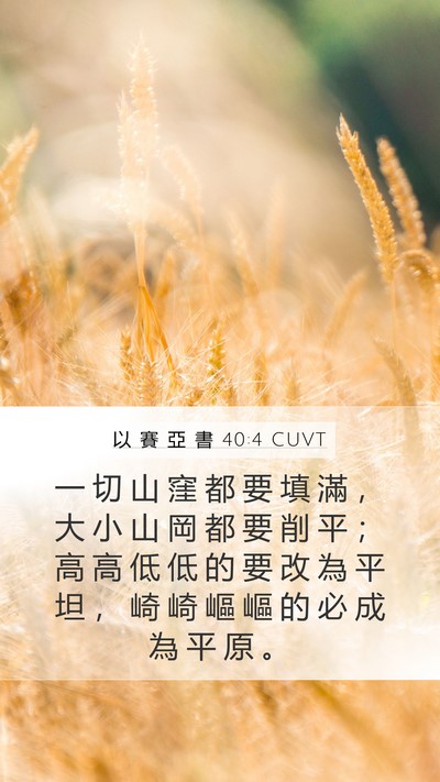 以 賽 亞 書 40:4 CUVT Bible Verse Image