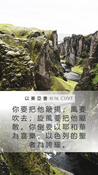 以 賽 亞 書 41:16 CUVT Bible Verse Image