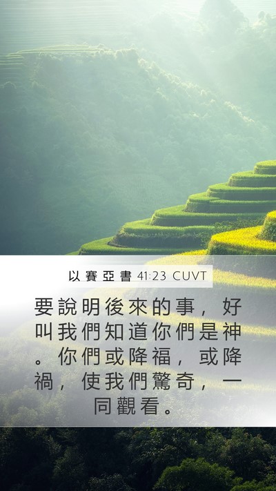 以 賽 亞 書 41:23 CUVT Bible Verse Image