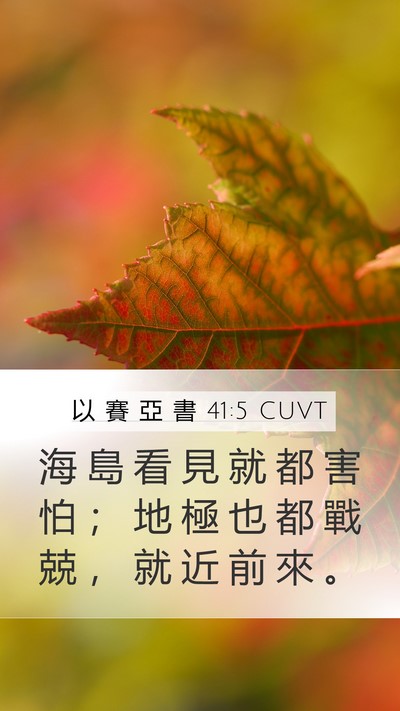 以 賽 亞 書 41:5 CUVT Bible Verse Image