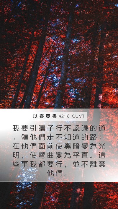 以 賽 亞 書 42:16 CUVT Bible Verse Image