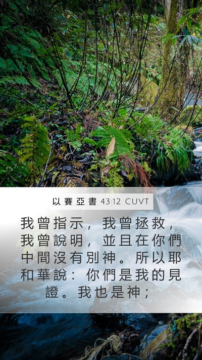 以 賽 亞 書 43:12 CUVT Bible Verse Image