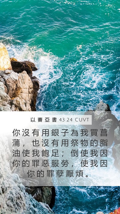 以 賽 亞 書 43:24 CUVT Bible Verse Image
