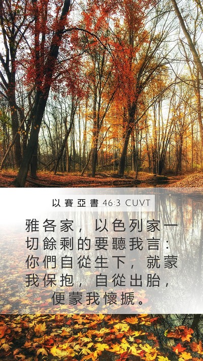 以 賽 亞 書 46:3 CUVT Bible Verse Image
