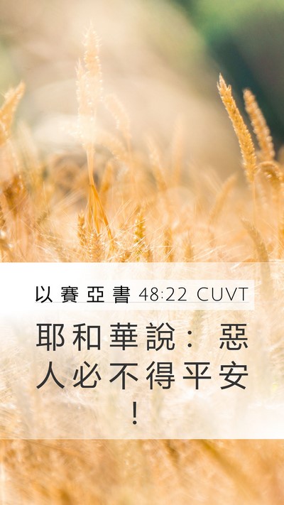 以 賽 亞 書 48:22 CUVT Bible Verse Image