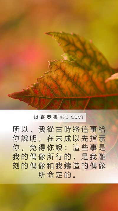 以 賽 亞 書 48:5 CUVT Bible Verse Image