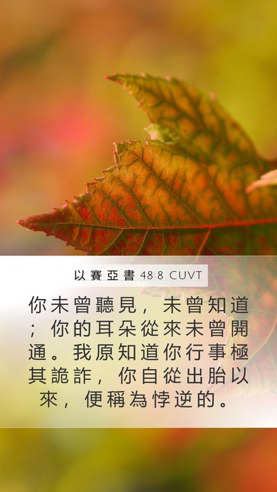 以 賽 亞 書 48:8 CUVT Bible Verse Image