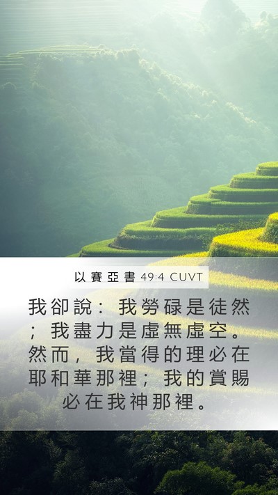 以 賽 亞 書 49:4 CUVT Bible Verse Image