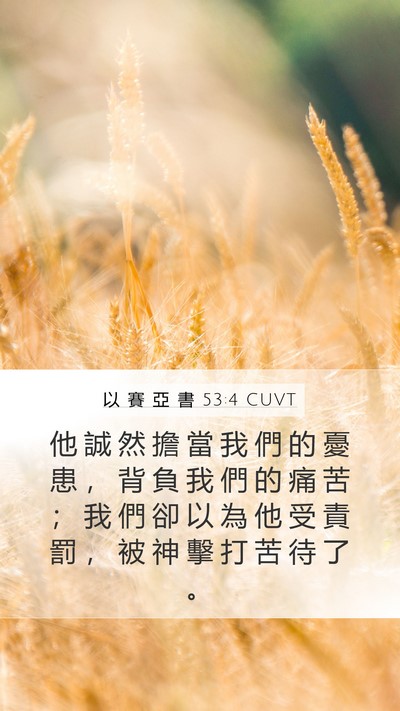 以 賽 亞 書 53:4 CUVT Bible Verse Image