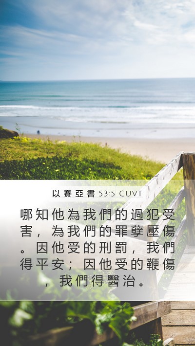 以 賽 亞 書 53:5 CUVT Bible Verse Image