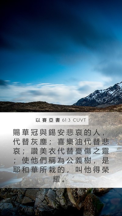 以 賽 亞 書 61:3 CUVT Bible Verse Image
