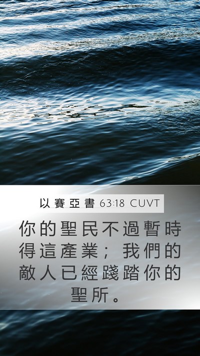 以 賽 亞 書 63:18 CUVT Bible Verse Image