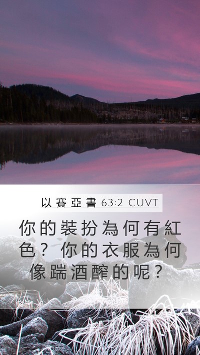 以 賽 亞 書 63:2 CUVT Bible Verse Image