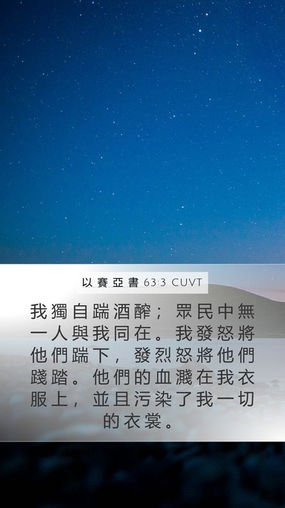 以 賽 亞 書 63:3 CUVT Bible Verse Image