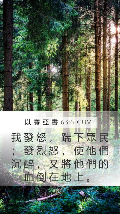 以 賽 亞 書 63:6 CUVT Bible Verse Image