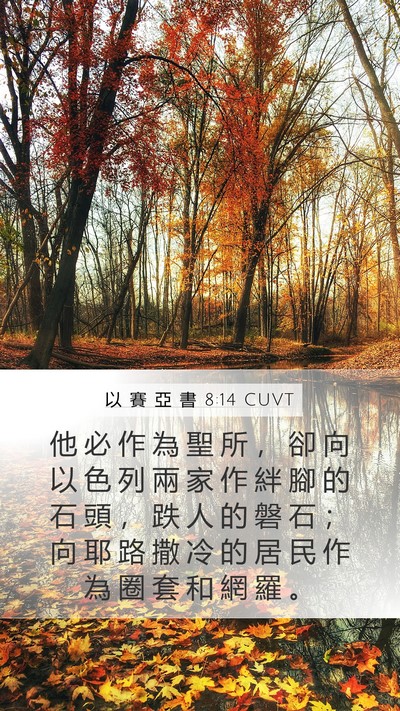 以 賽 亞 書 8:14 CUVT Bible Verse Image